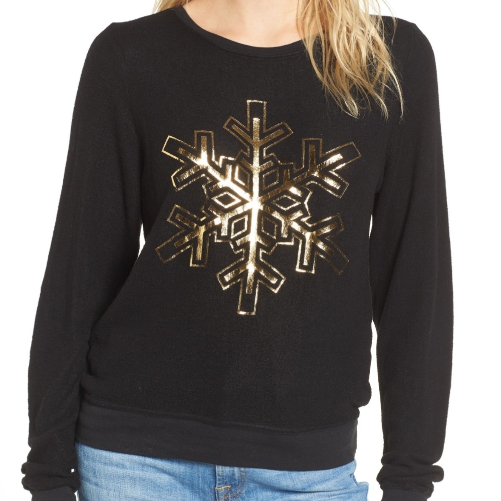 NWT WILDFOX DREAM SCENE SWEATSHIRT OVERSIZED